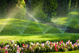 we do irrigation Systems in singapore, best irrigation system, residential irrigation systems
