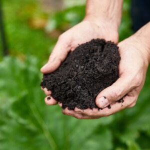 Compost - 1 tonne/jumbo bag